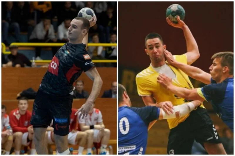 pavlovic_velic