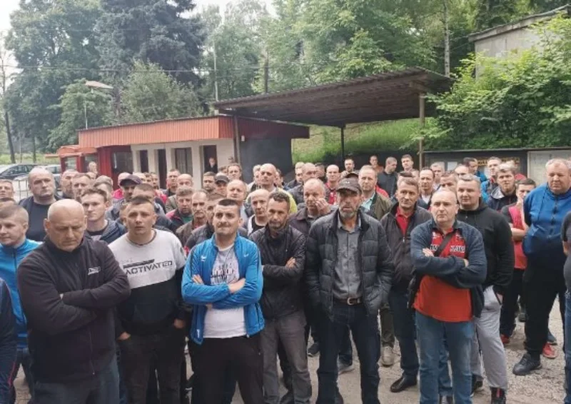 ruzdari zebnica 5
