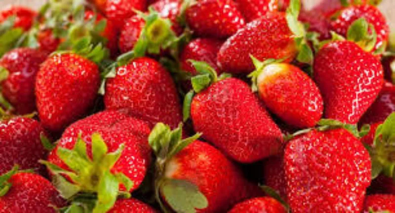 jagode