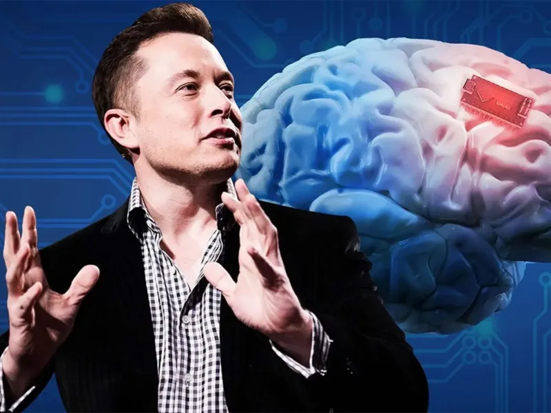 musk cipovi