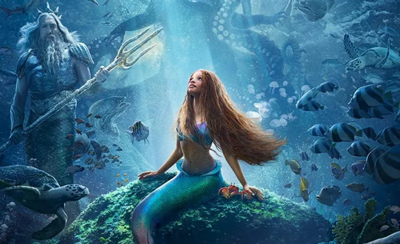 little mermaid