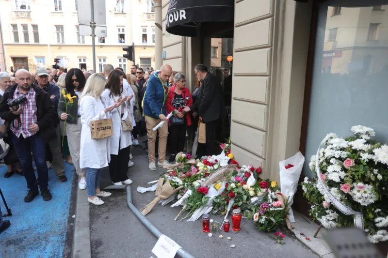 protesti marijin dvor azra spahic (3)