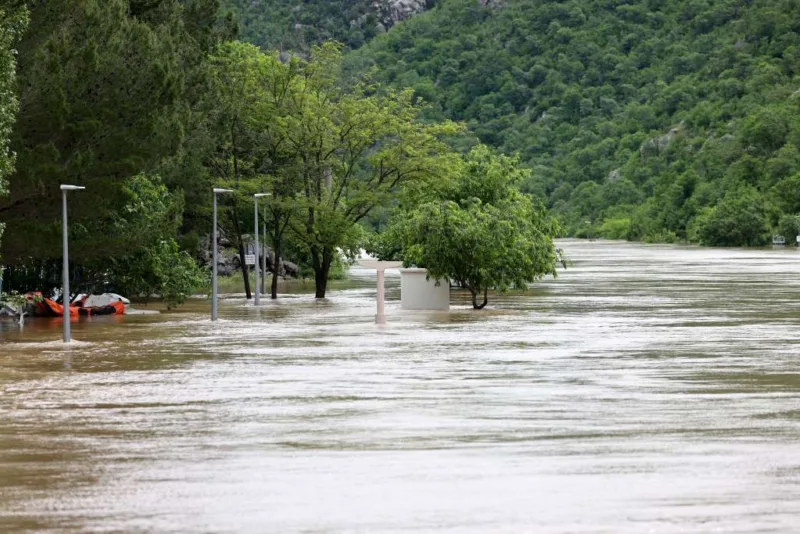 bosna