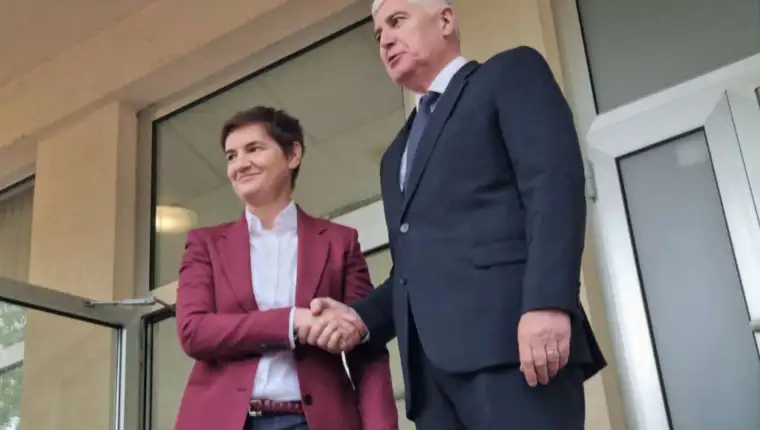 brnabic covic