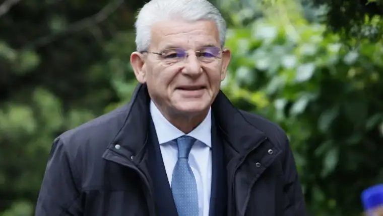 dzafgerovic 3