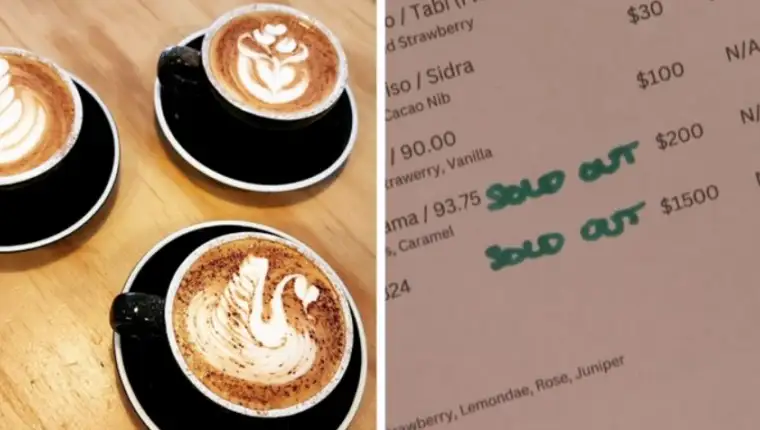 kafa skupa