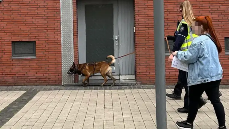 ubistvo njemacka