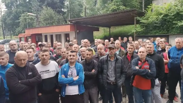 ruzdari zebnica 5