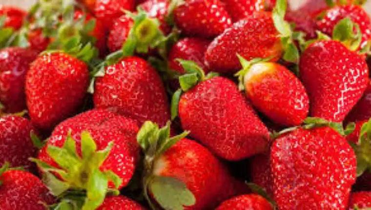 jagode
