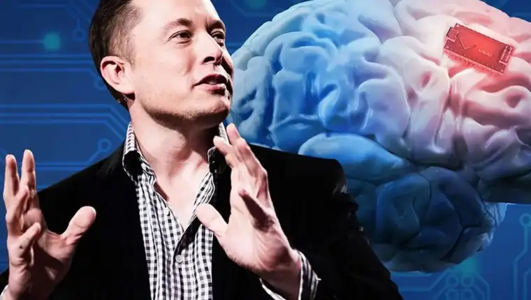 musk cipovi