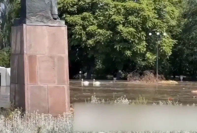 labod kahovka 1