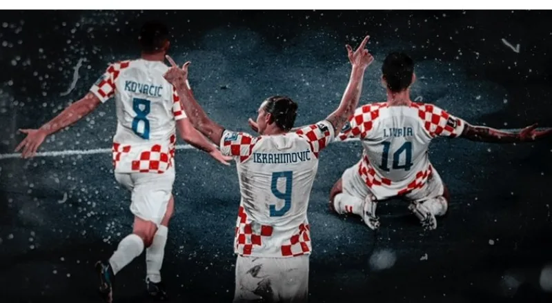 hns zlatan 3