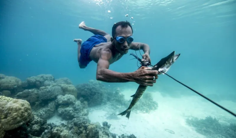 bajau6