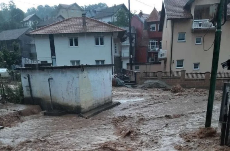 snijeznica 1