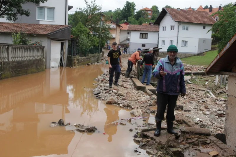 AA snijeznica teocak (11)