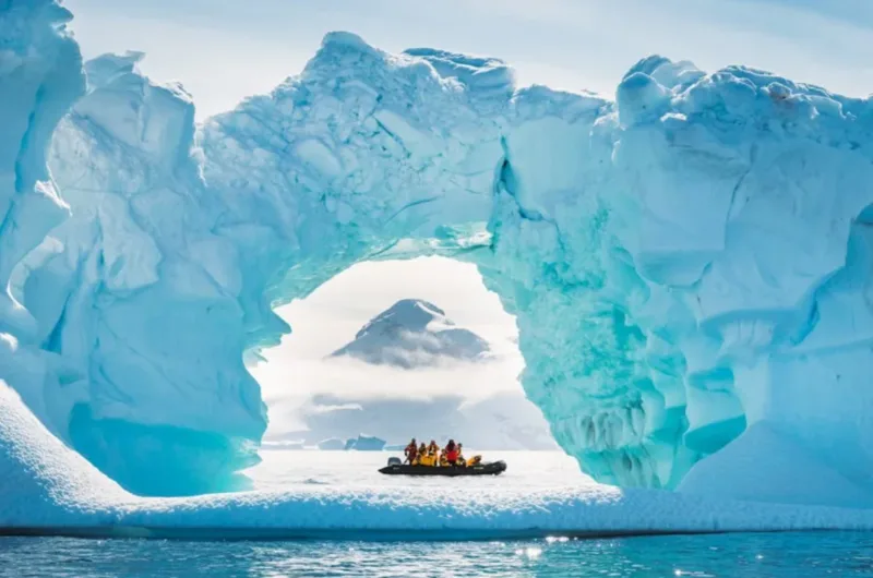 led arctic