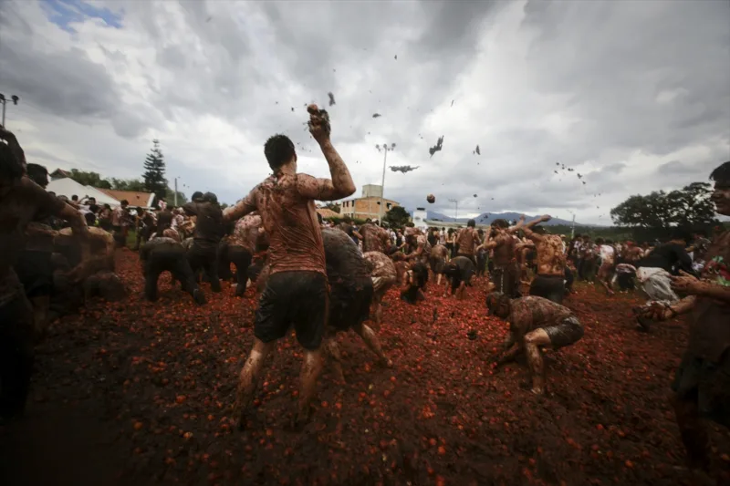 tomatina kolumbija aa (14)