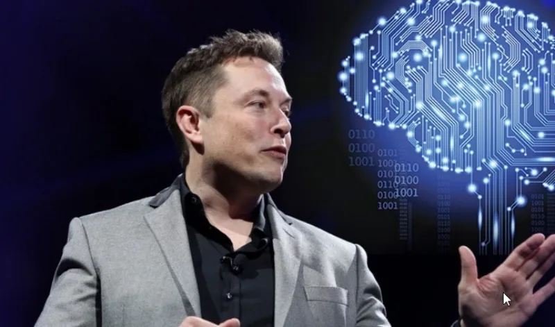 musk 5