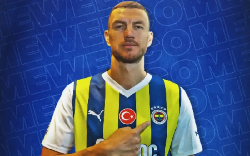 Edin Džeko, Fenerbahce