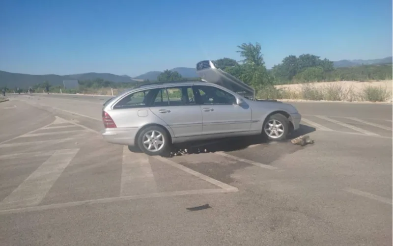 nesreca s