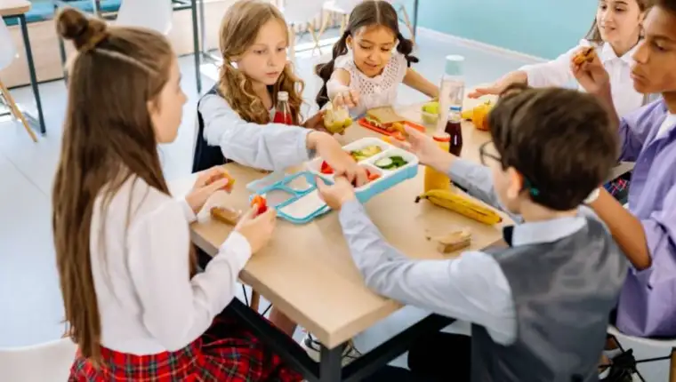 skola