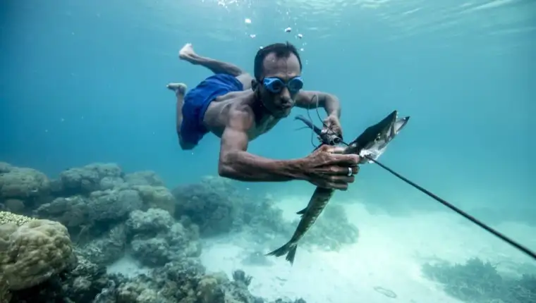 bajau6