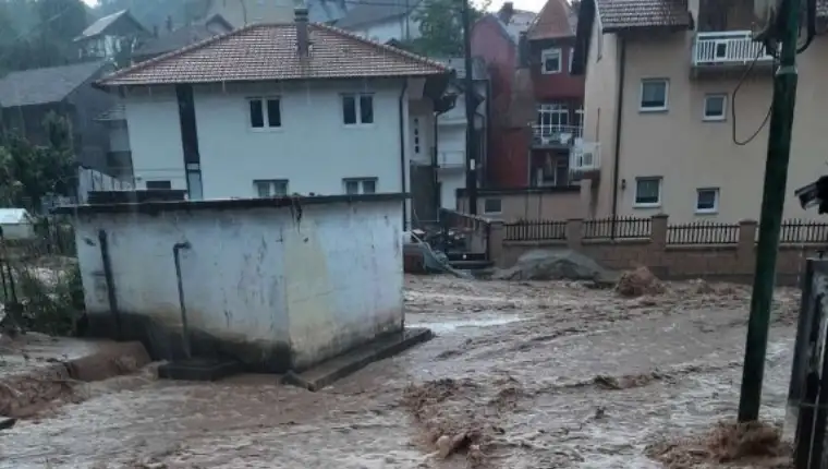 snijeznica 1