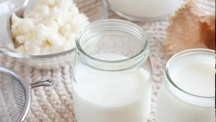 Kefir