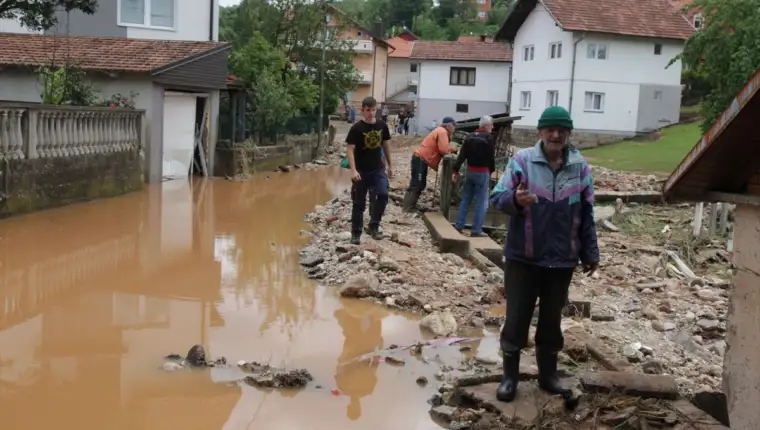 AA snijeznica teocak (11)