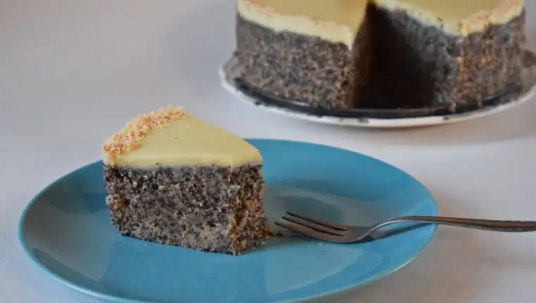najbrža torta