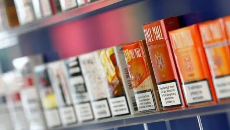 cigare crna gora