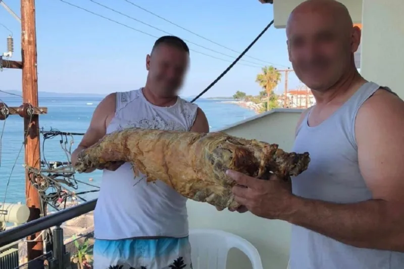 Janje na plaži