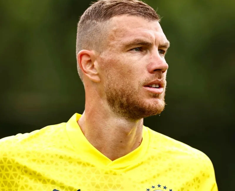 dzeko fenerbahce