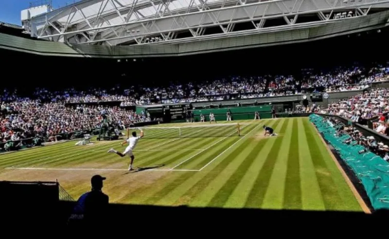 federer 6