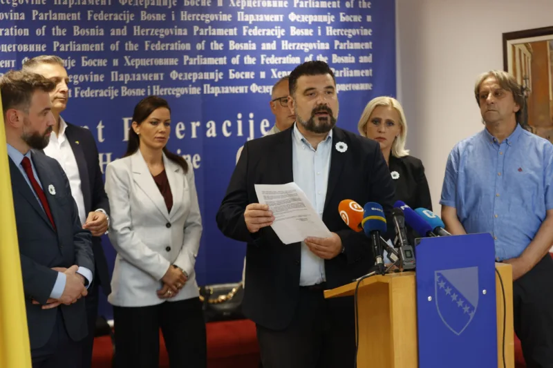 mahir mesalic df fena