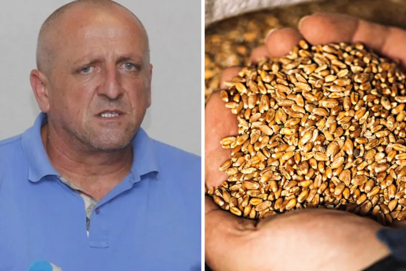 Nedžad Bićo