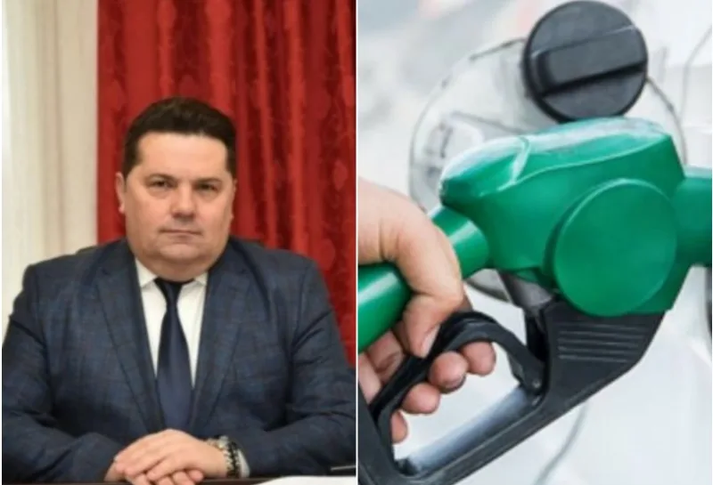 stevandic gortivo 4