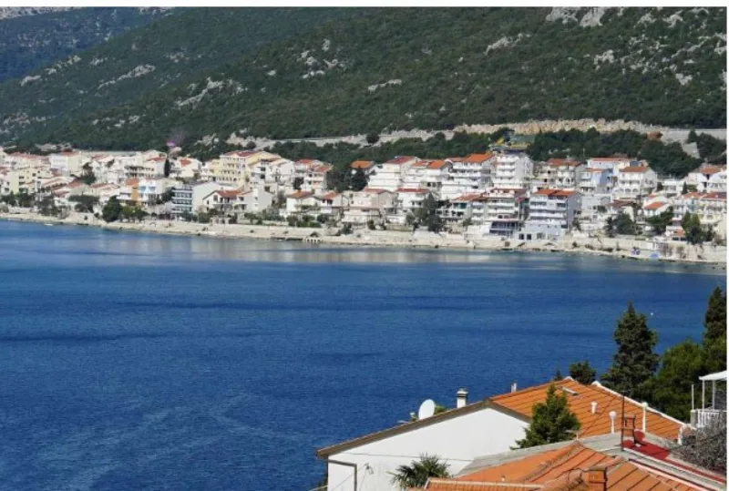 neum 3