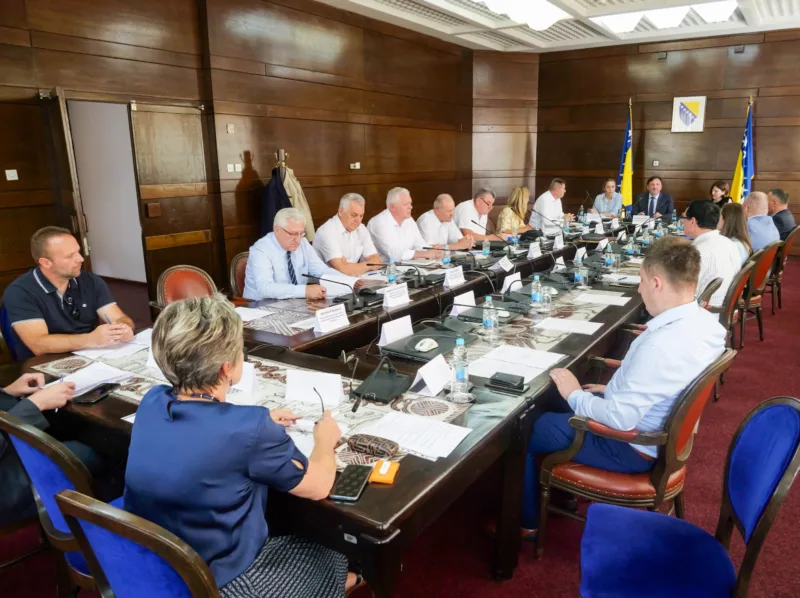 vijece za strane investitore