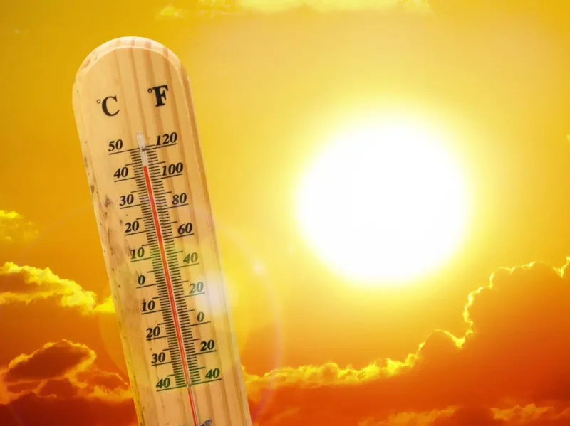 vrucina-sunce