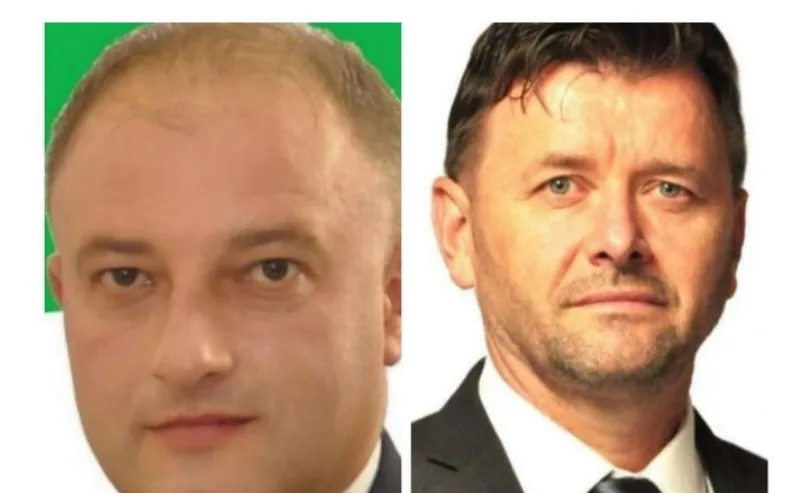 borovic deljo 3
