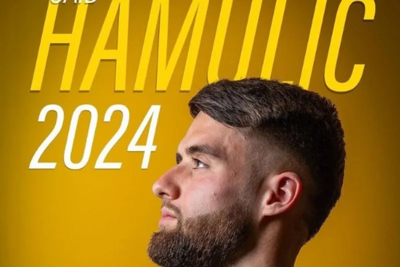 hamulic