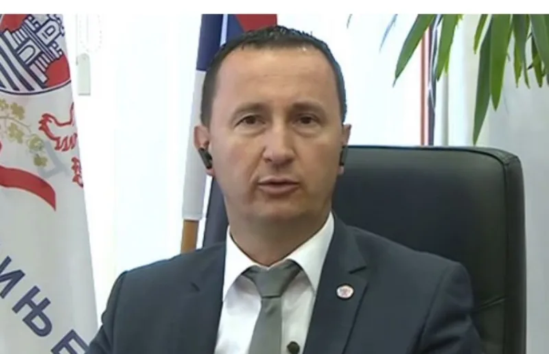 curic mirko 2