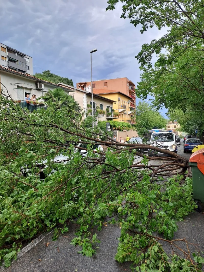 rijeka