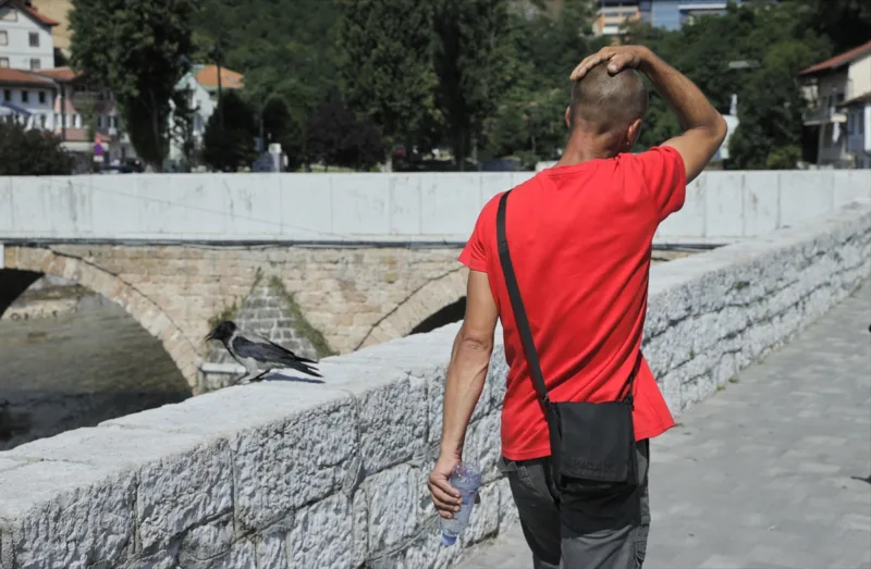 AA-vrucine u Sarajevu (14)