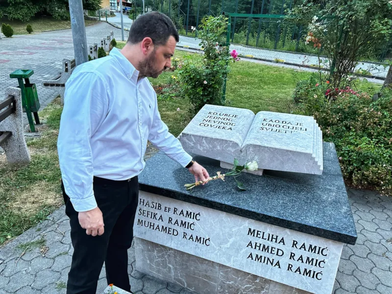 sasa magazinovic stratista