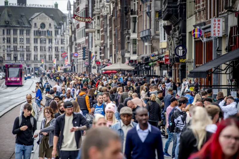 amsterdam guzva