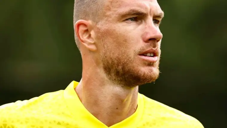dzeko fenerbahce