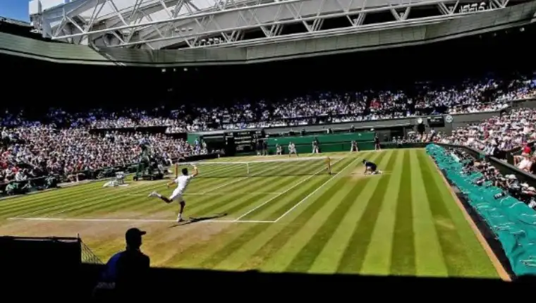 federer 6