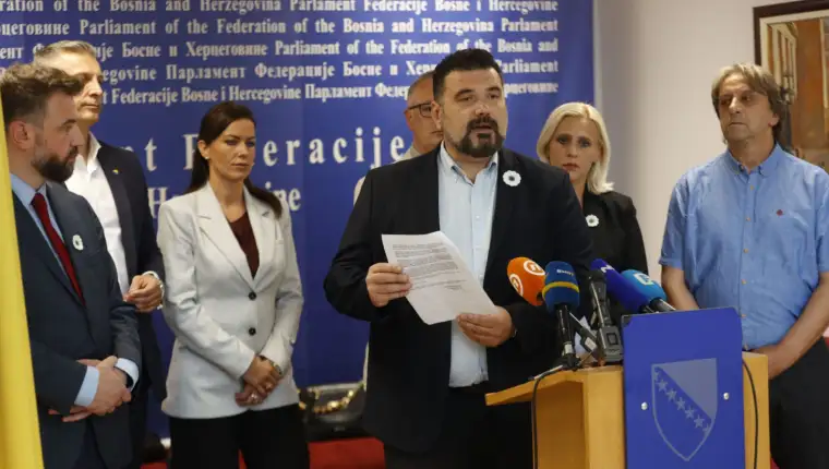 mahir mesalic df fena